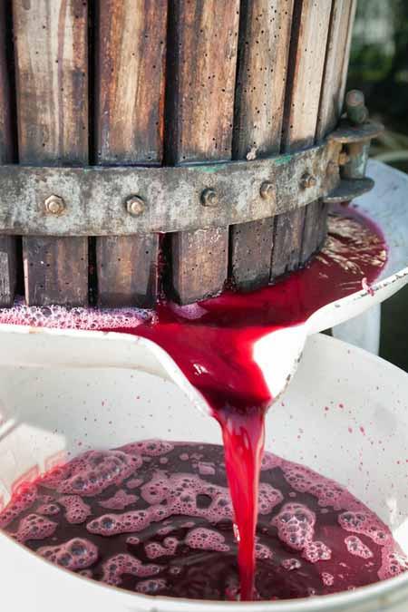 DIY Wine Making Workshop Karaoke Infused